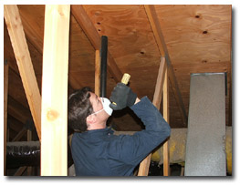 Man Inspecting Wood